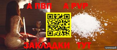 бошки Тара
